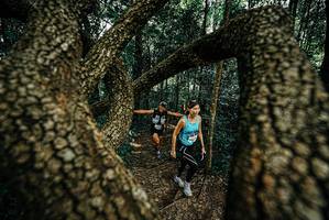 BIB: 
                            <button type="button" onclick="openModal(25669882)" class="btn btn-primary btn-sm float-right btn-popup" data-toggle="modal" data-target=".modal-high-quality">
                        <i class="fas fa-shopping-cart"></i> Add to Cart
                    </button>
                                            <button type="button" onclick="isThisMe(25669882, true)" class="btn btn-success btn-sm float-right btn-popup btn-isme hidden" data-toggle="tooltip" data-placement="bottom" title="นี่คือรูปของคุณใช่ไหม คลิกที่นี่เพื่อเอาเข้าอัลบั้ม">
                        <i class="fas fa-plus"></i> Add to album
                    </button>
                    <button type="button" onclick="isThisMe(25669882, false)" class="btn btn-warning btn-sm float-right btn-popup btn-isnotme hidden">
                        <i class="fas fa-ban"></i> Remove from album
                    </button>